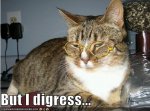 But I digress kitty.jpg