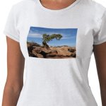 Shrubbery on Dead Horse Pt.jpg