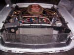Mustang Engine bay 002.JPG